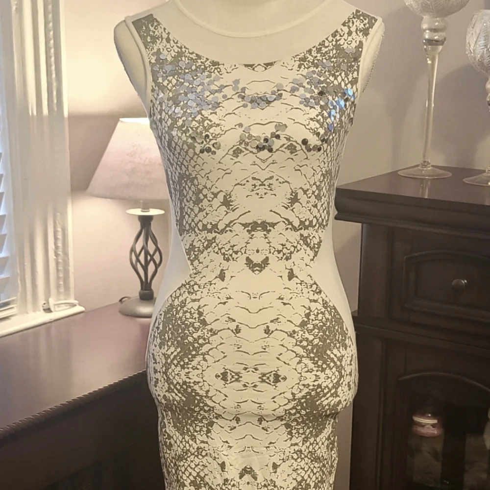 VENUS DRESS - Picture 1 of 5